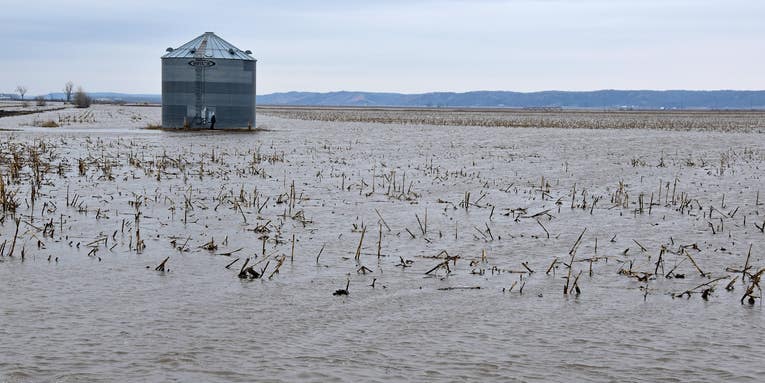 Last year’s historic floods ruined 20 million acres of farmland