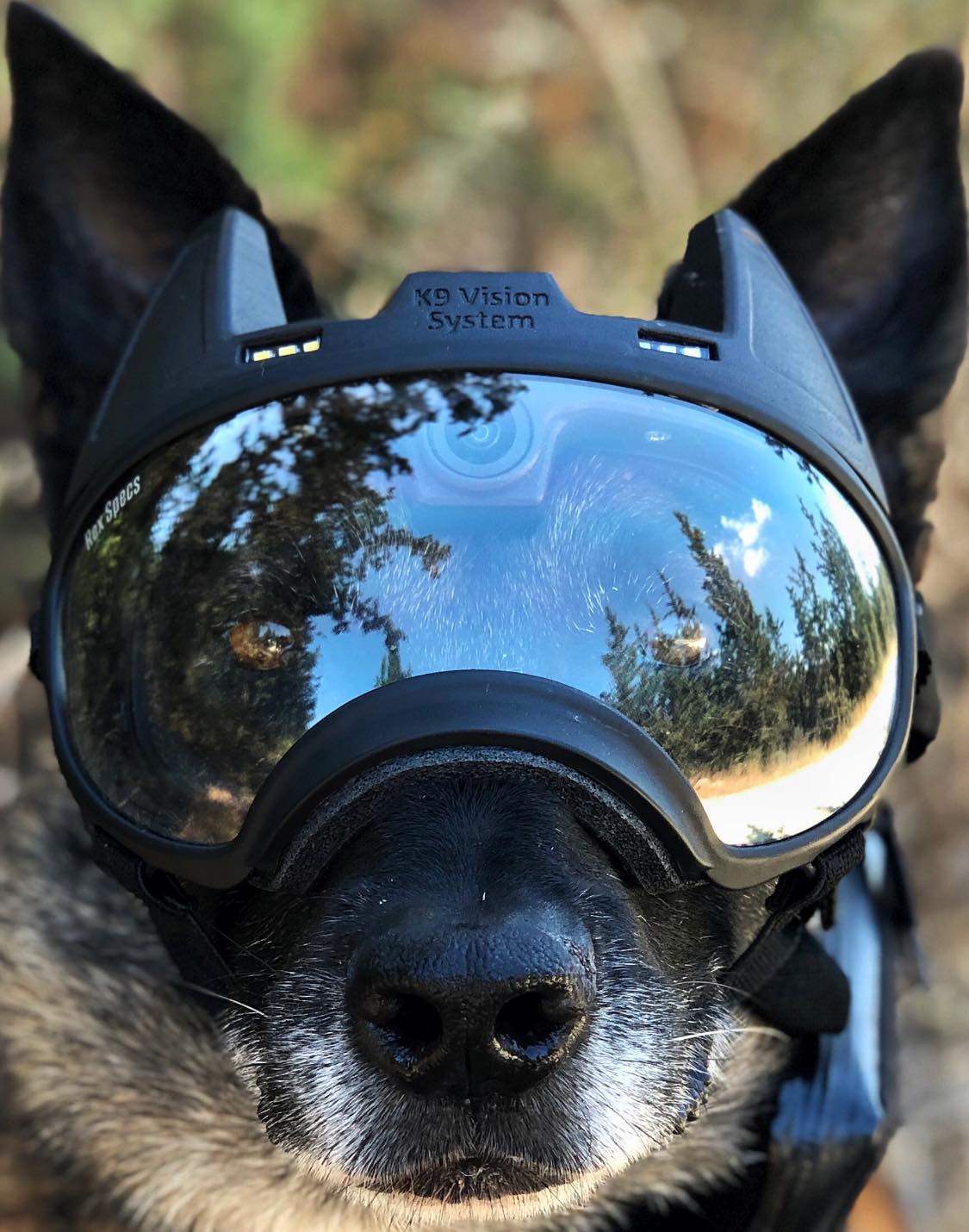 These camera-equipped dog goggles keep special-forces canines connected to their handlers