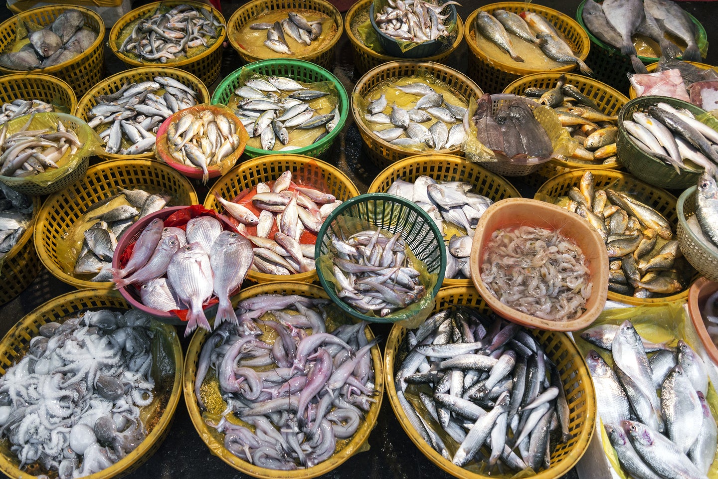 baskets of fish at an outdoor market