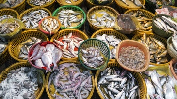 baskets of fish at an outdoor market