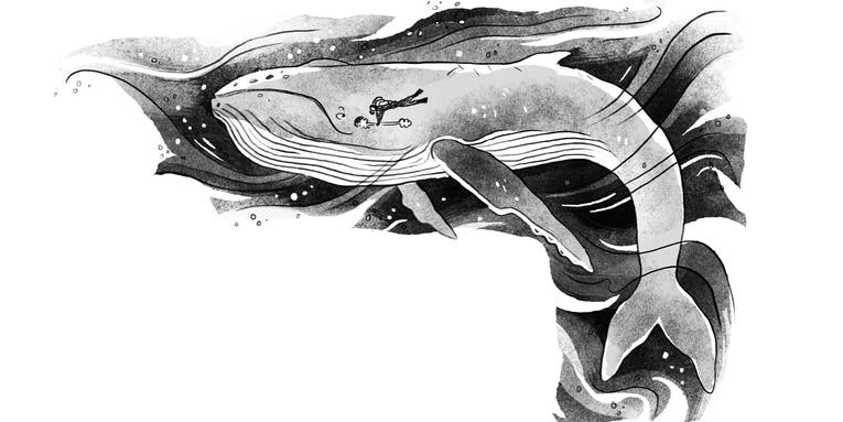 Whale earwax holds the ocean’s deepest secrets