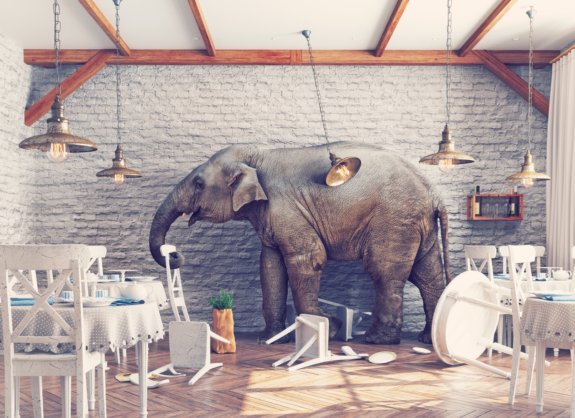 An elephant causing chaos inside a restaurant