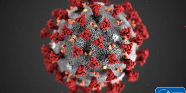 The novel coronavirus finally has a name—two of them, actually