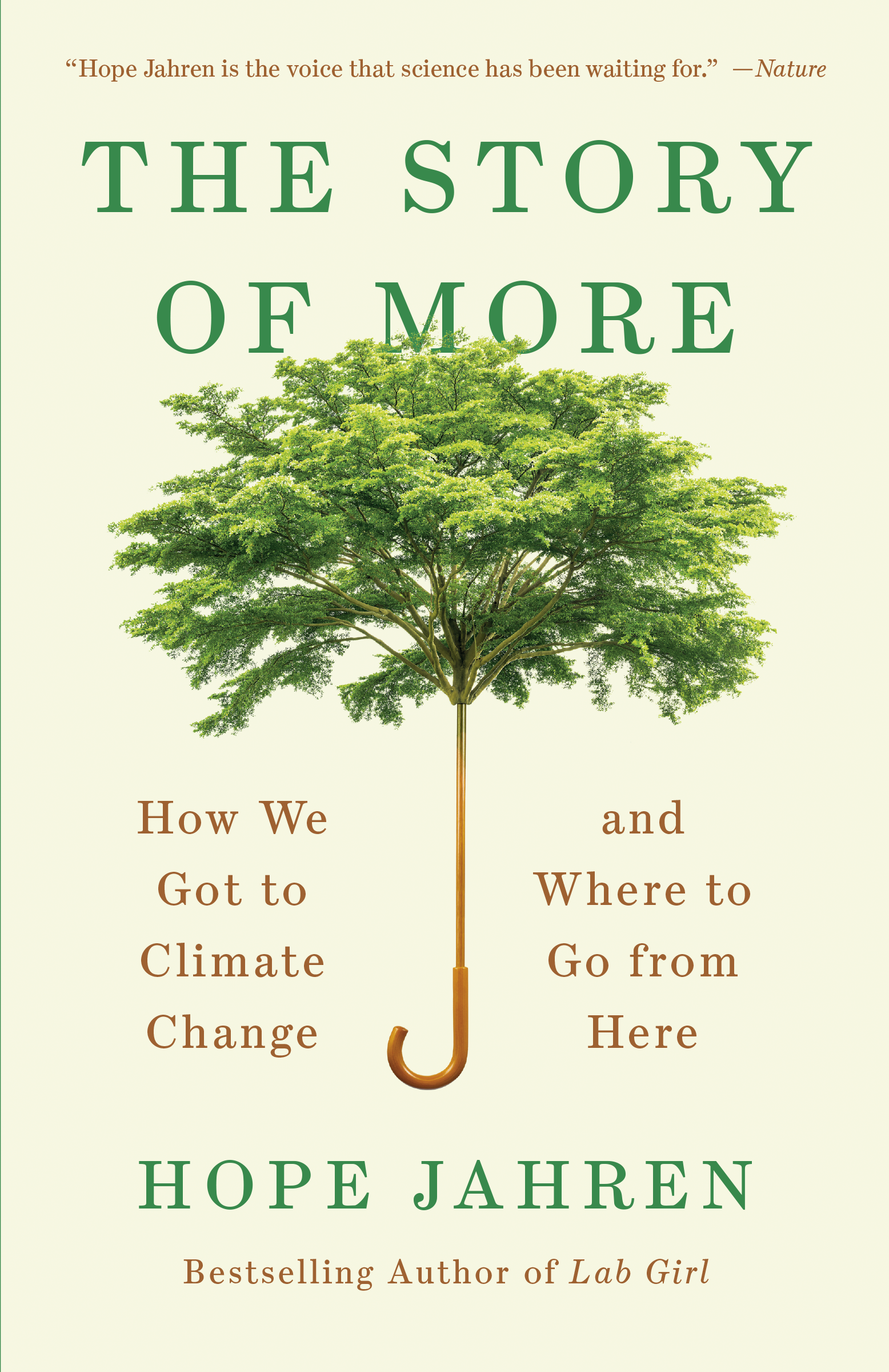 The cover of The Story of More.