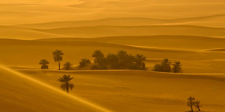 The Sahara used to be full of fish
