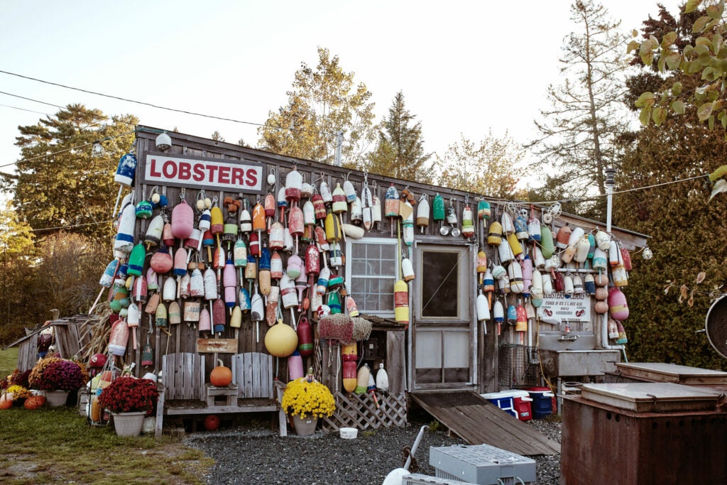 maine lobster shack