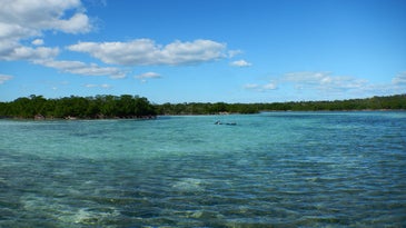 The mangrove-lined estuary on Abaco Island in the Bahamas.