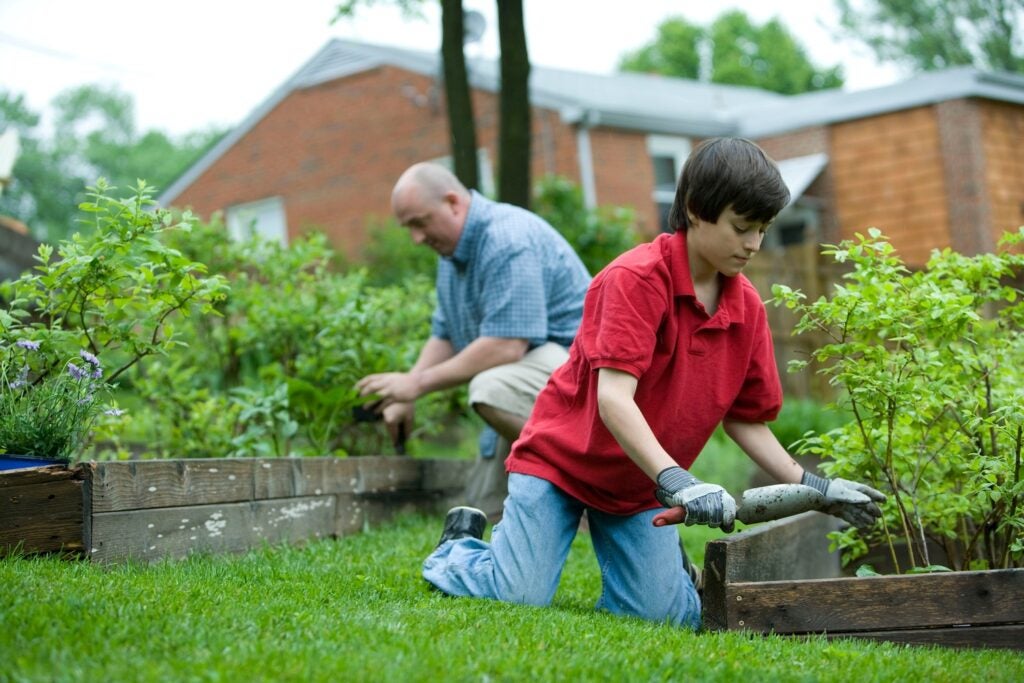 an old man and a child gardening