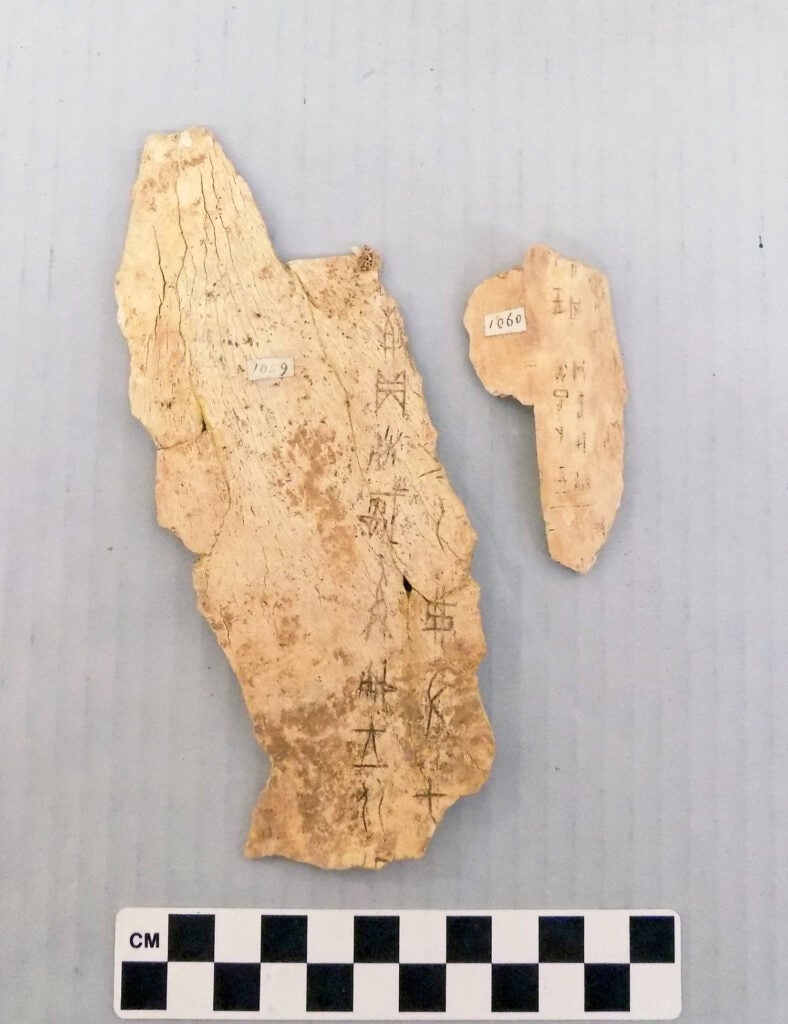 Chinese oracle bones from the Carnegie Museum of Natural History in Pittsburgh