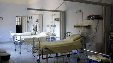 White hospital beds