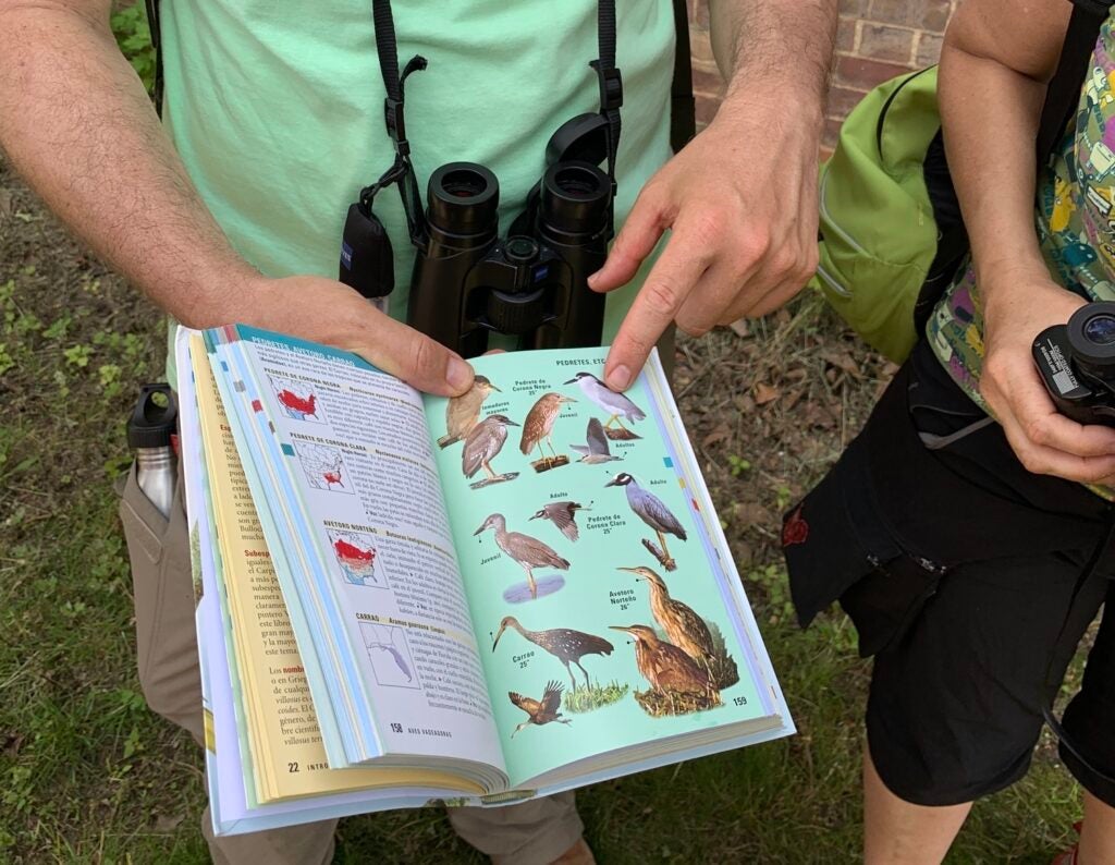 a person holding a field guide to birds while wearing binoculars