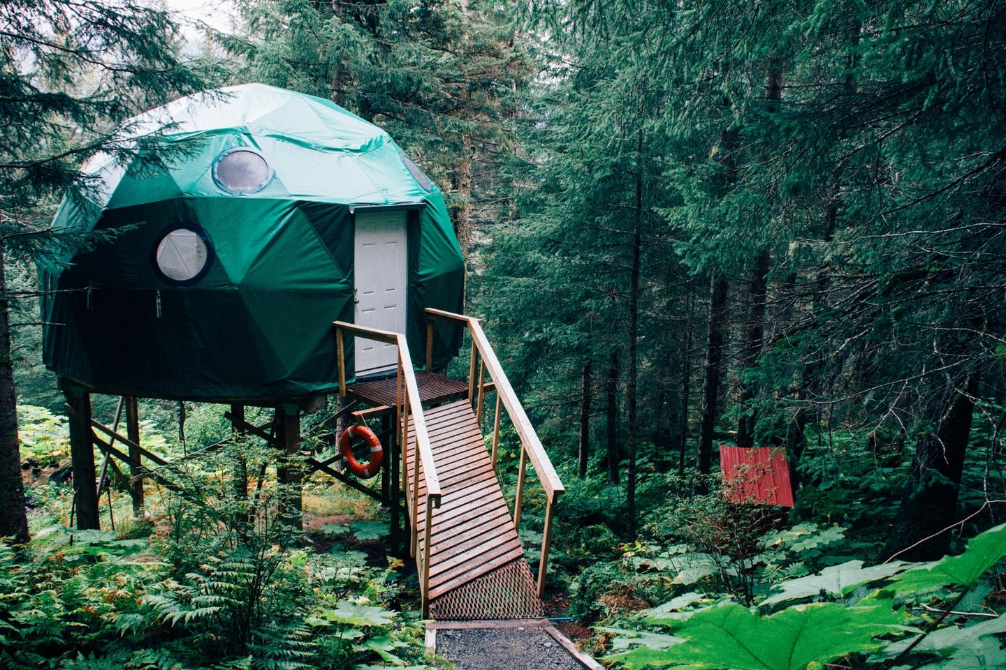 A green plastic dome treehouse in a forest.