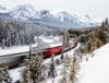 Lori Kupsch - A train zooms through the popular Morant's Curve in Banff National Park