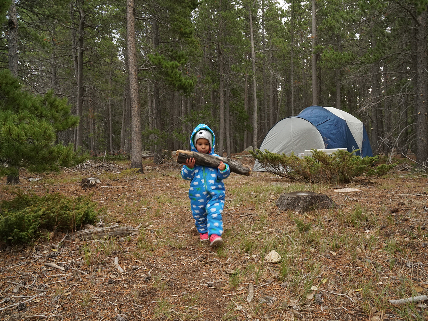 Eleven outdoor skills to teach your kids—or yourself