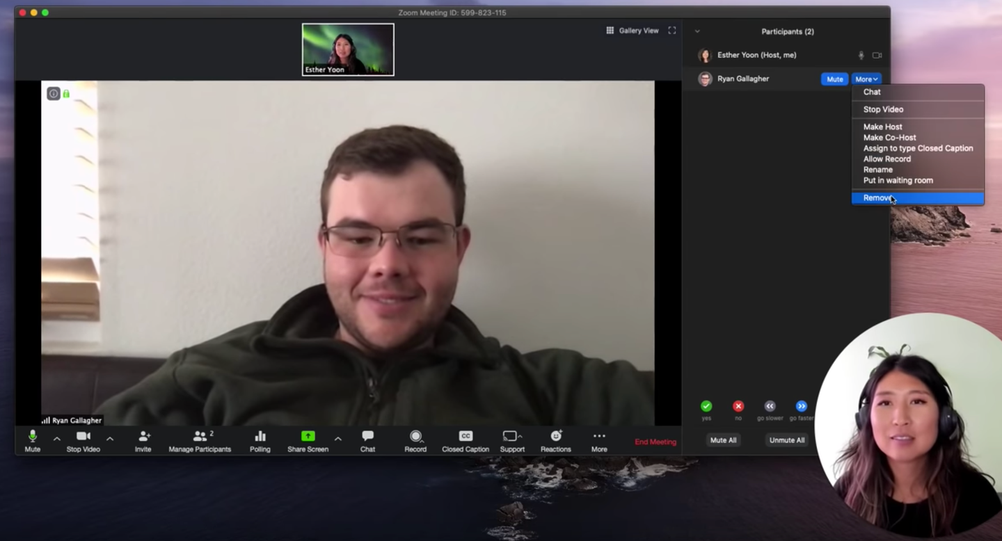 Zoom video chat
