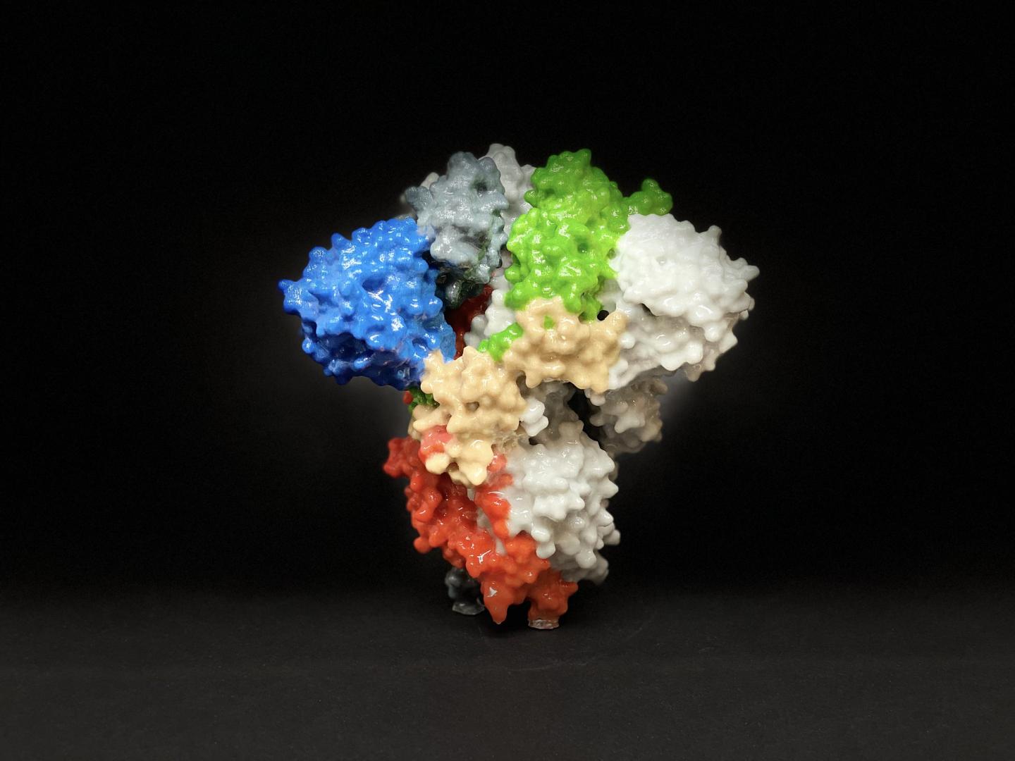 coronavirus spikey protein structure.