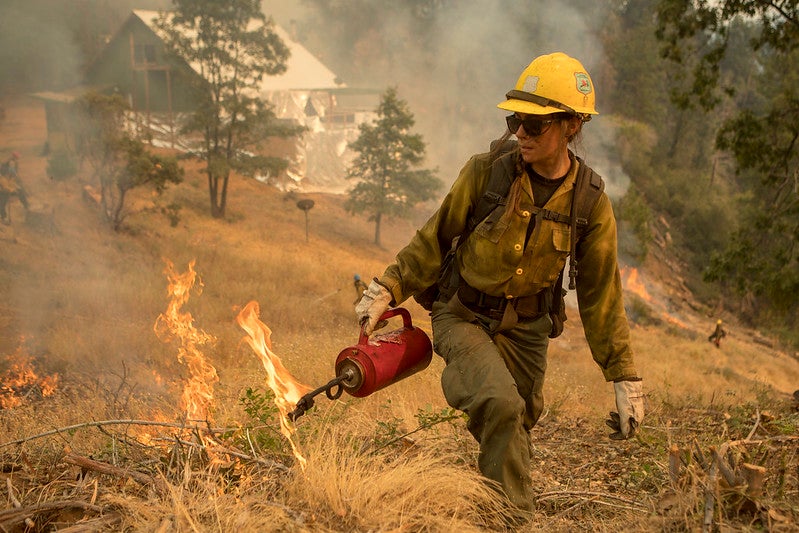 A member of the Tahoe Hotshot crew uses a drip torch for a controlled burn at Sierra National Forest in California.