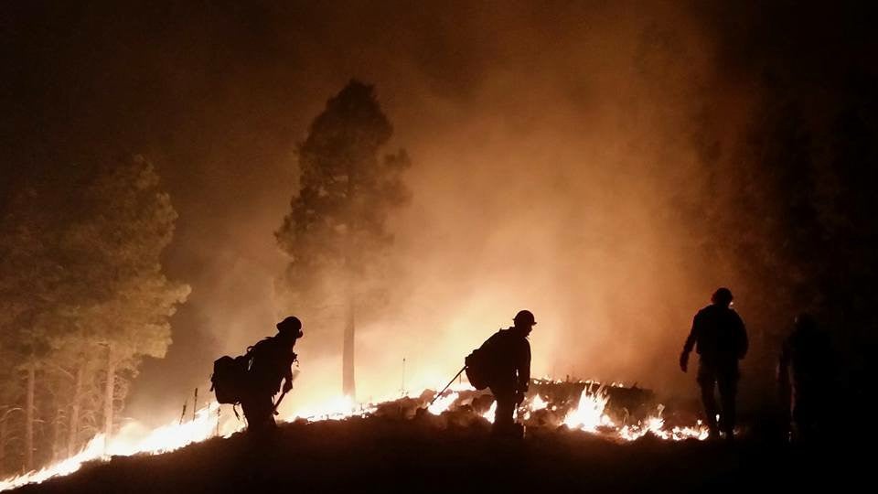 The 2017 Boundary Fire in Kabib National Forest in Arizona took firefighters more than a month to control.