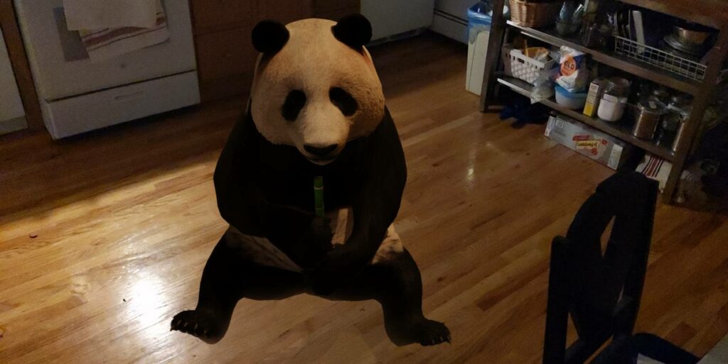 Panda in kitchen