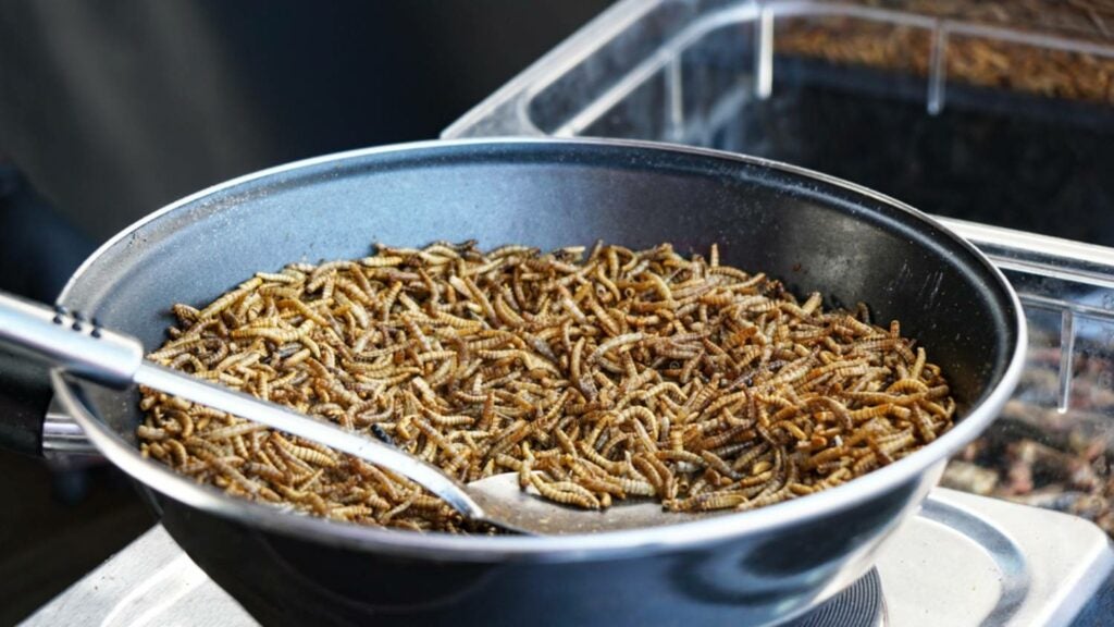 Sauteed mealworms