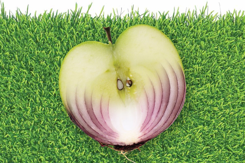 apple and onion on grass Images;