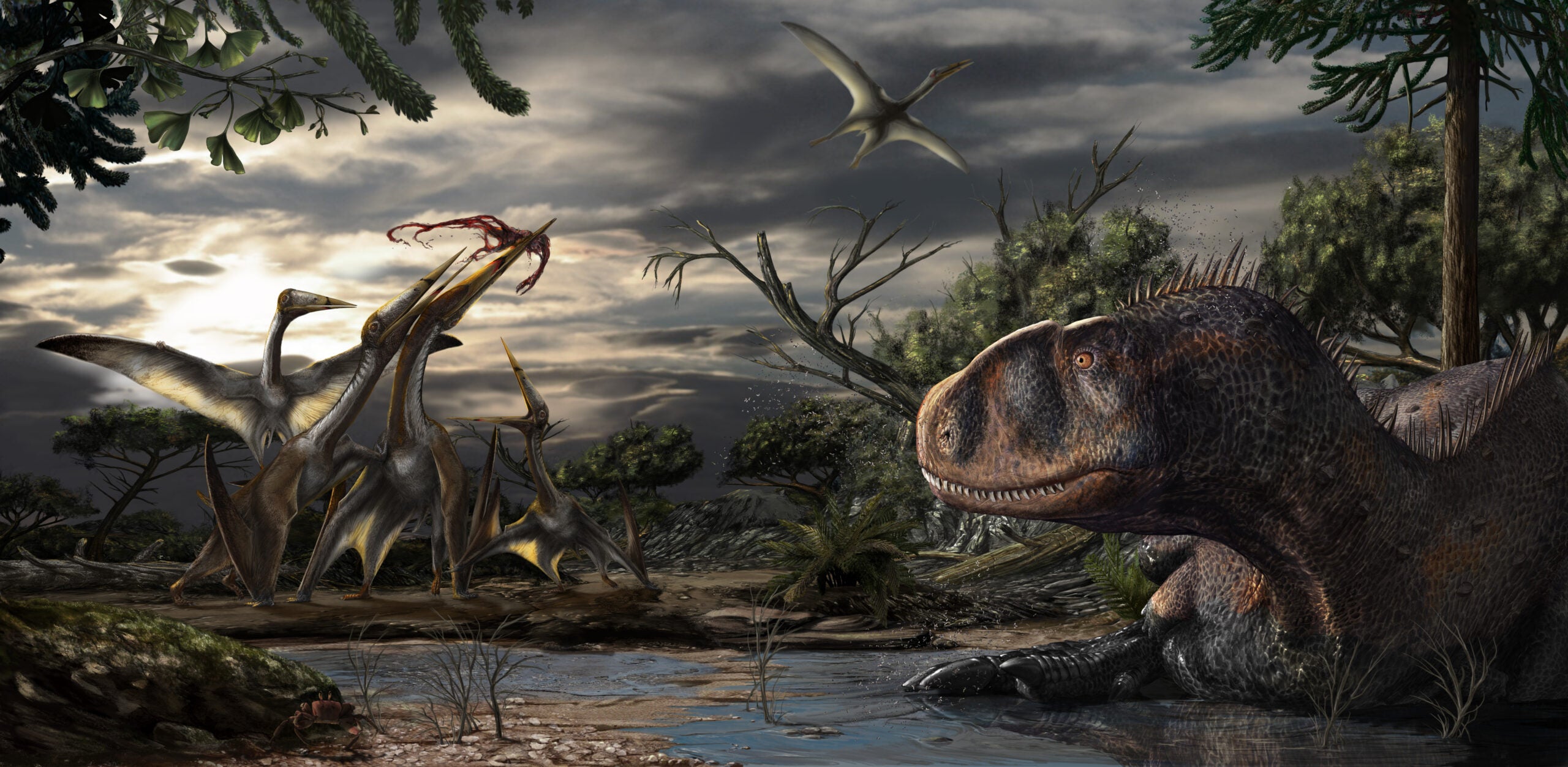 The Sahara Desert was once flooded with history's most vicious dinosaurs