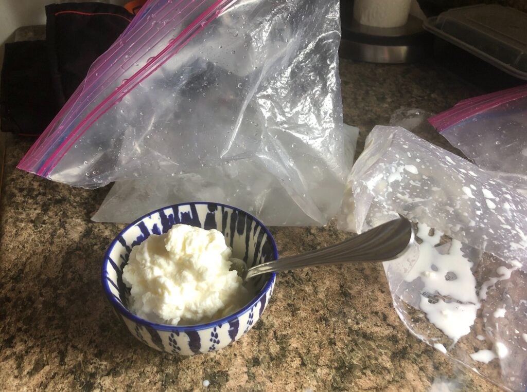 a bowl of vanilla ice cream and some plastic bags full of ice and salt that we shook to make ice cream