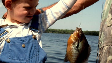 Angler holding up a panfish.