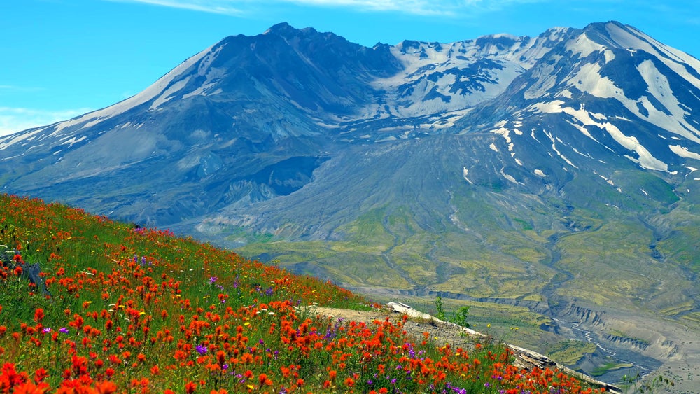 A current view of the South Colwater Ridge Trail at Mount Saint Helens in Washington.