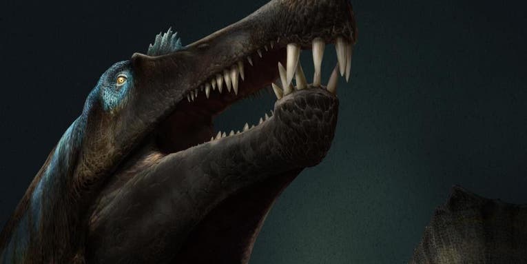 Most dinosaurs didn’t swim—but this ‘dino equivalent of Jaws’ sure did