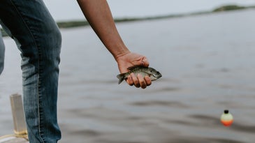 a person holding a small fish while standing on a dock on a lake