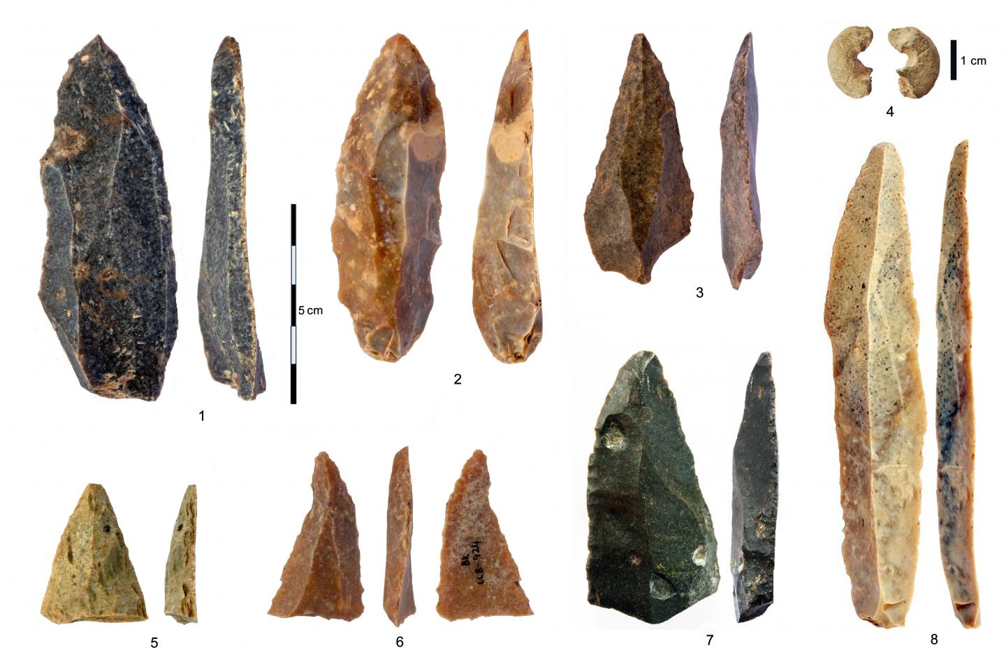 ancient human tools