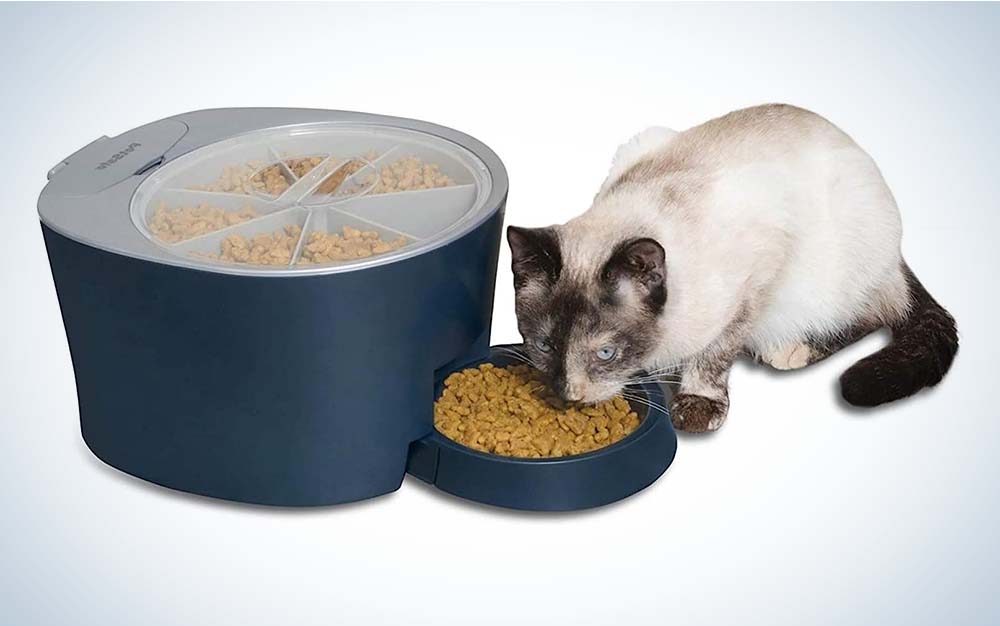 PetSafe makes one of the best automatic pet feeders for portion control.