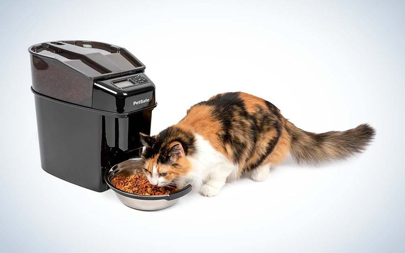 PetSafe makes one of the best automatic pet feeders.