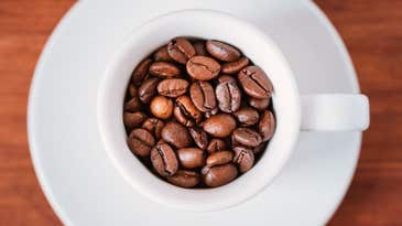 Best Coffee Beans on the Market