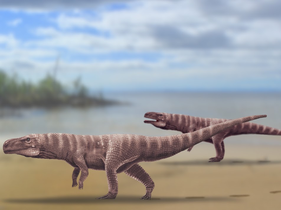 Crocodiles’ ancient ancestors may have walked on two legs