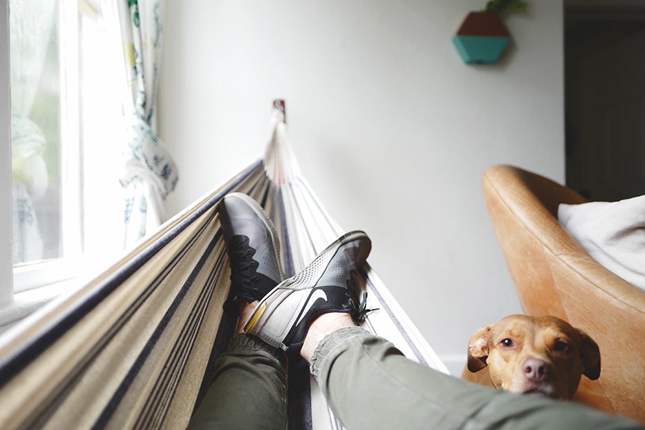 person in hammock with dog