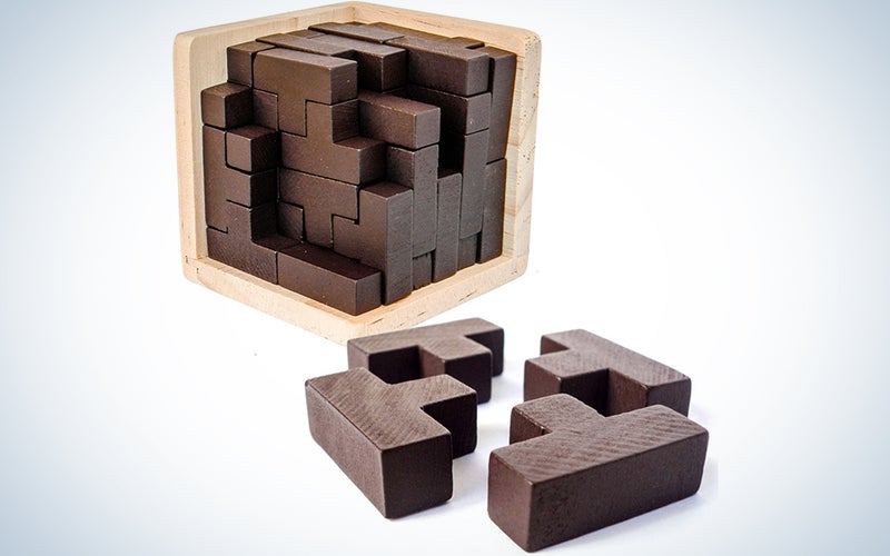 Sharp Brain Zone 3D Wooden Puzzle