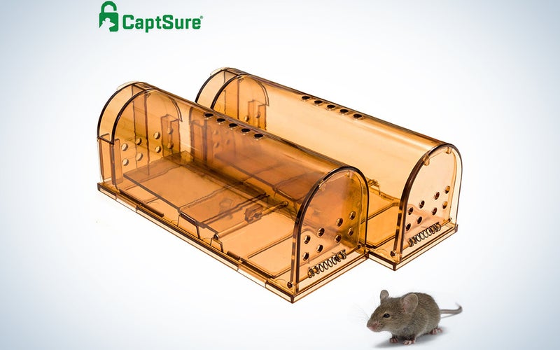 CaptSure Original Humane Mouse Traps