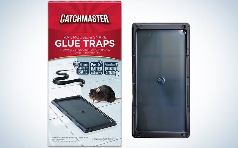Catchmaster Baited Rat, Mouse and Snake Glue Traps Professional Strength - 8 Glue Trays