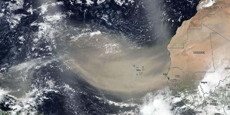 Five wild facts about the Saharan dust plume before it hits the US