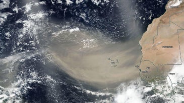 satellite image of dust cloud