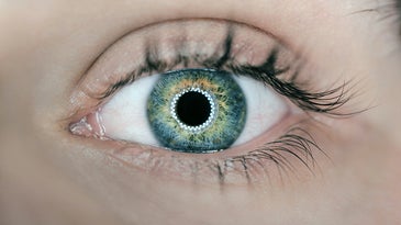 eyeball with ring light reflection