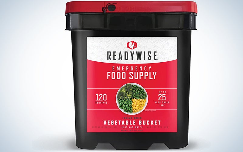 ReadyWise, Emergency Food Supply Freeze Dried Vegetables
