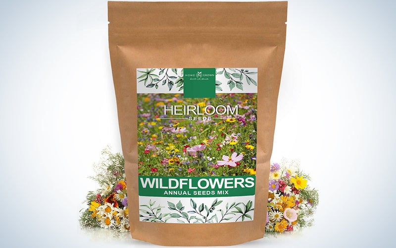Mix of 21 Different Varieties of Non-GMO Wildflower Seeds