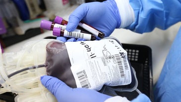 A bag and vials of donated blood
