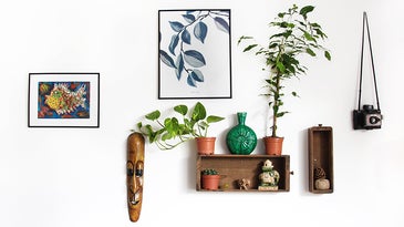 shelf and pictures on a wall