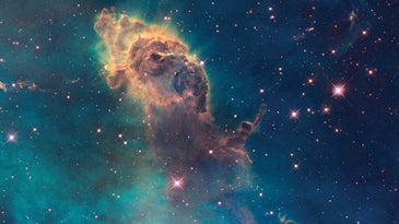 What animal do you see in this image of a nebula?