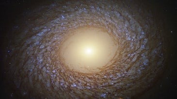 NGC 2275, imaged by the Hubble Space Telescope