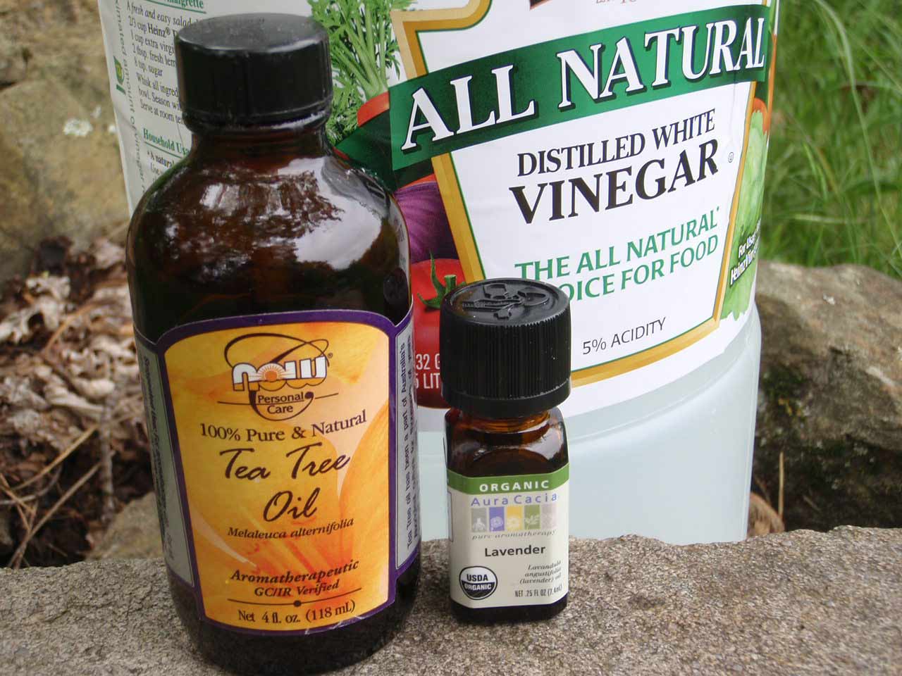 Eight ways to repel insects without bug spray